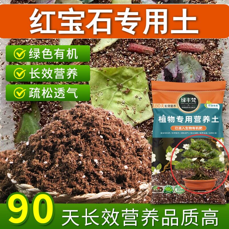 红宝石适用花泥干净无杂阳台种植土有机促进透气无草籽球根促开花