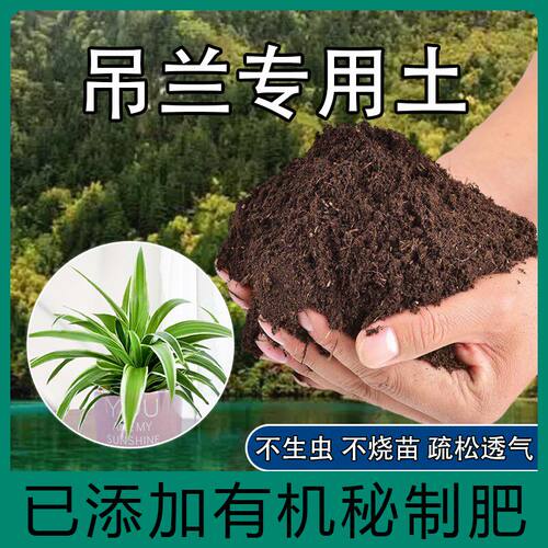 吊兰专用土吊兰肥料营养土盆栽土养花种花土通用种植土壤有机土壤