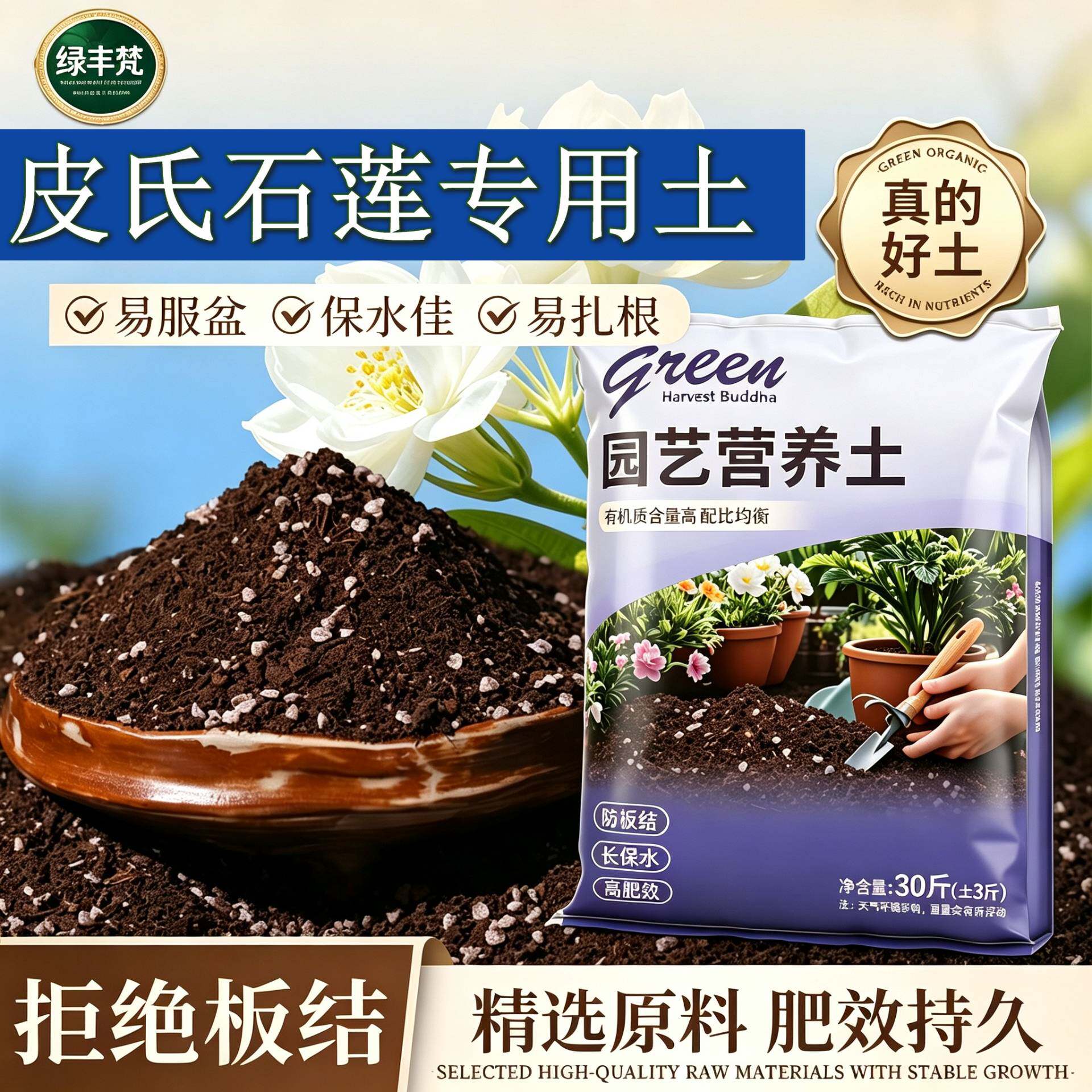 皮氏石莲适用有机土加珍珠岩不闷根育苗加牛粪天然壮根木本观花