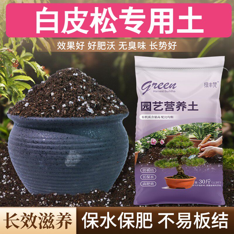 白皮松专用种植土保水锁肥园艺加深生根粉优质壮根多肉盆景土天然