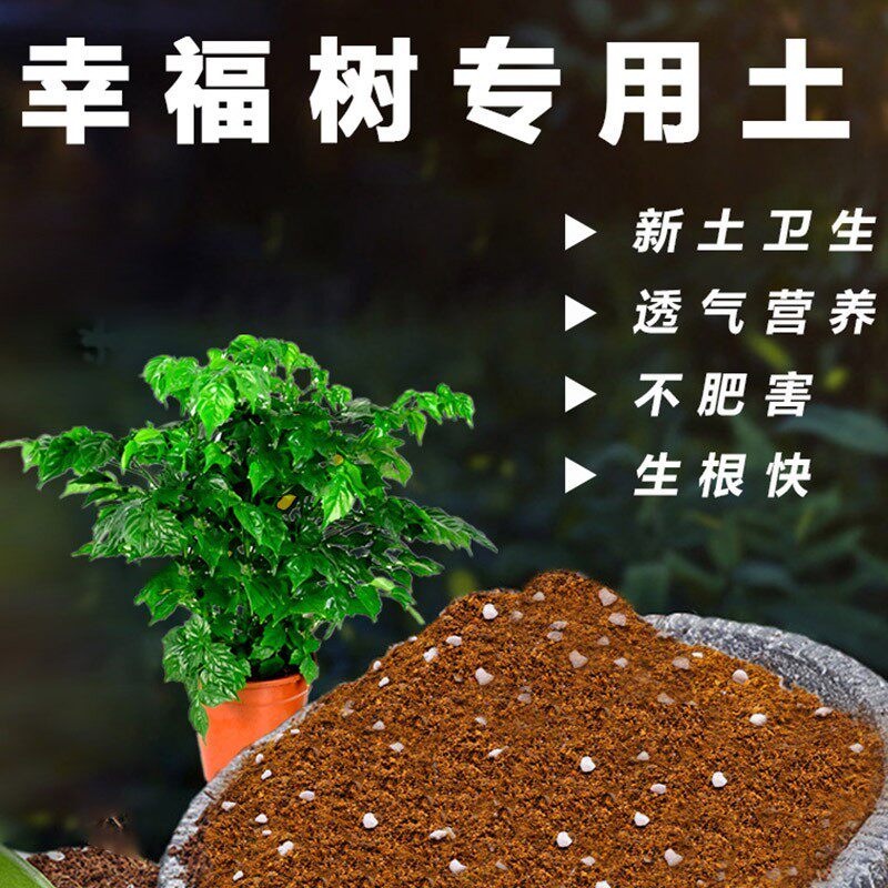 幸福树专用土绿宝培植土大型绿植配方通用型营养土阳台花卉土特制