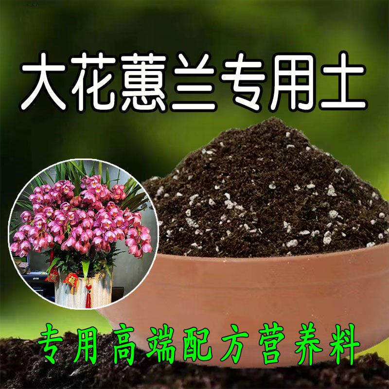 大花蕙兰专用土兰科植料通用型营养土兰花种植土盆栽有机腐殖土