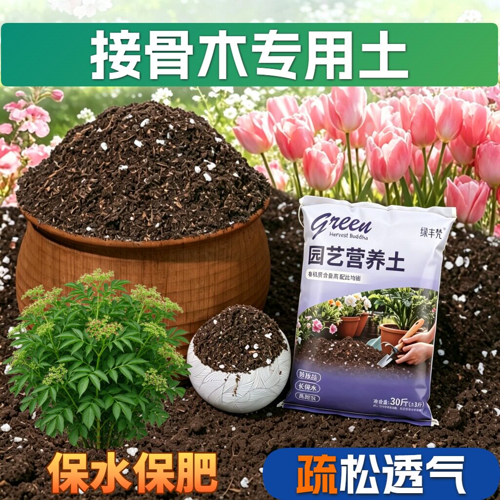 接骨木专用腐叶土根壮苗好不闷根育苗泥炭基质精选增色观叶花园