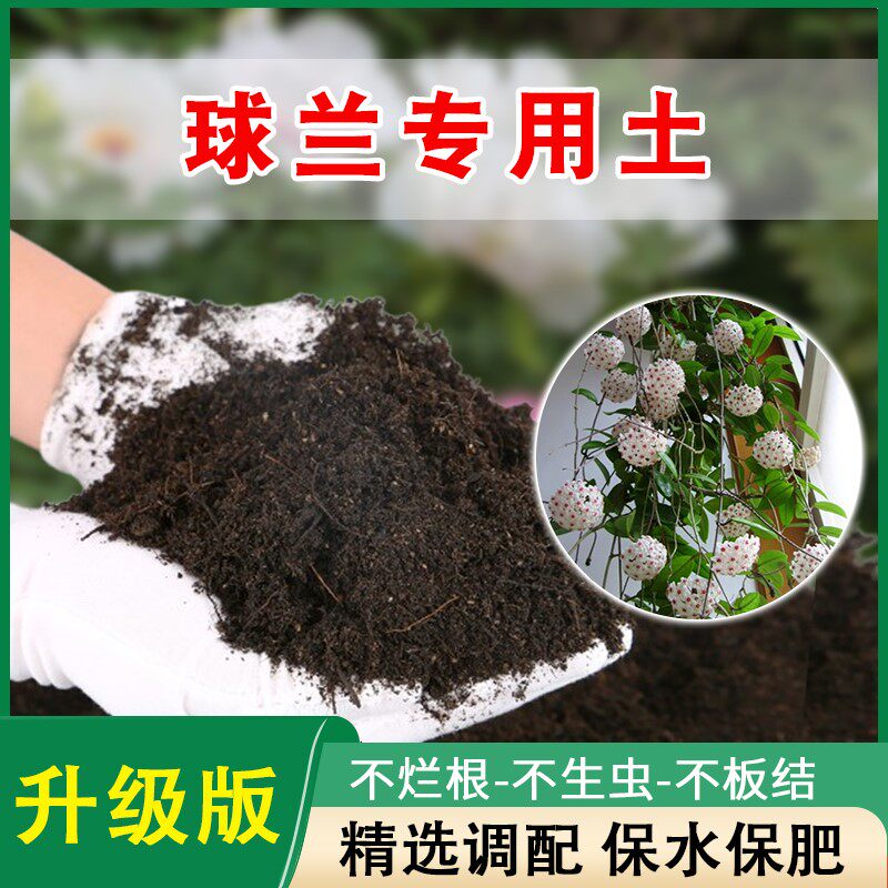 球兰专用土盆栽营养土花泥土通用透气种植土专用调配种植肥料土壤