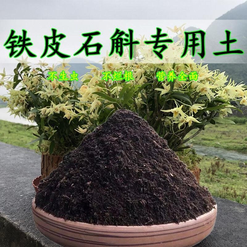 铁皮石斛专用土铁皮石斛营养土松软透气有机肥料盆栽养花绿植土