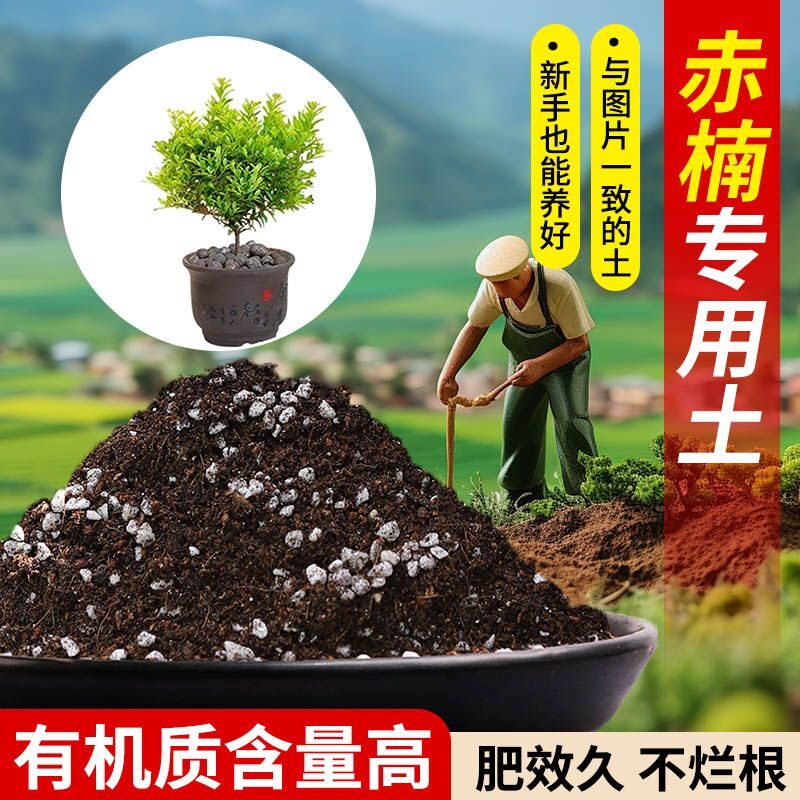 赤楠专用土泥炭土高温腐熟菜园包邮种菜土不板结无菌干净盆栽大包