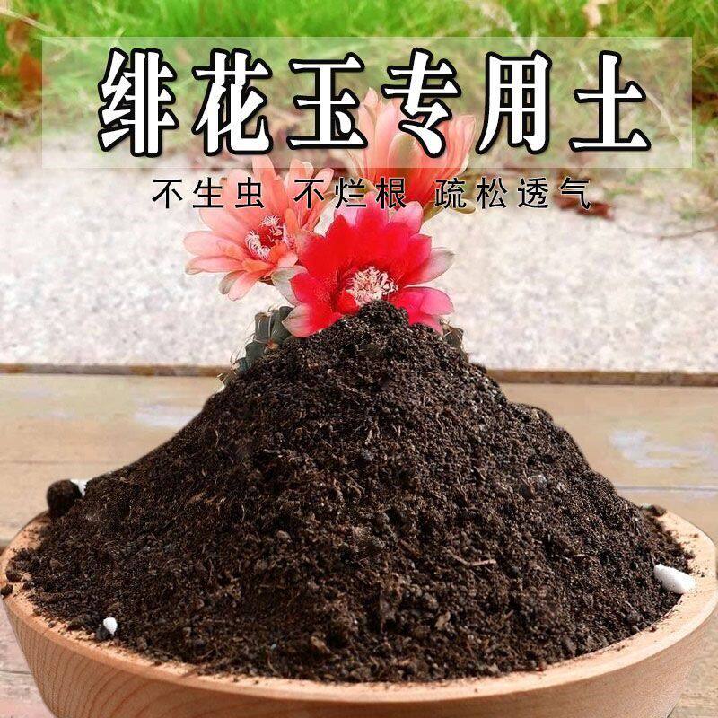 绯花玉专用土绯花玉专用营养土盆栽土养花种花土通用种植土壤肥料