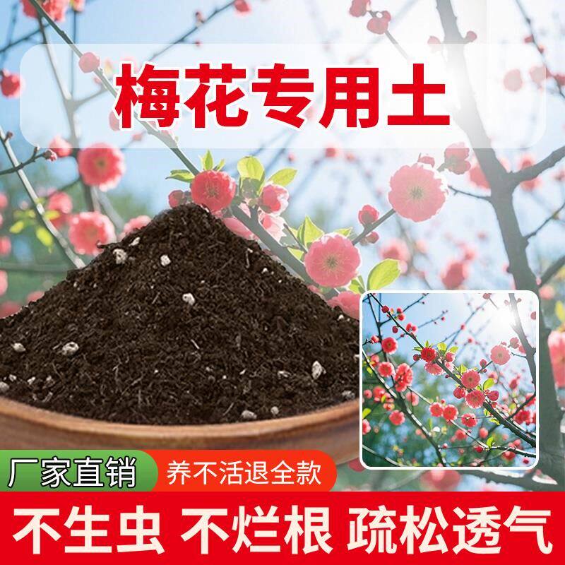 梅花专用土室内养花专用土花土种植土种菜花卉通用型家用蓬松发酵