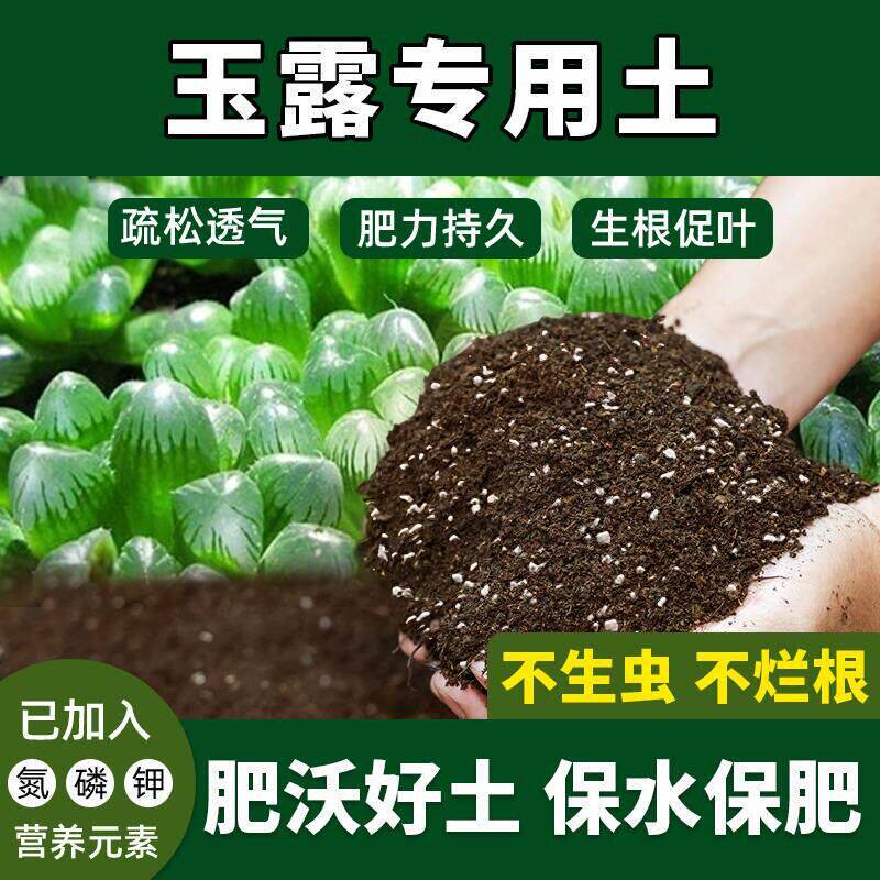 玉露专用土通用型玉露营养土盆栽土防生虫有机肥花泥种花专用肥料