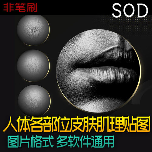 Zbrush 人体面部身体各位皮肤纹理 肌理材质贴图 alpha贴图