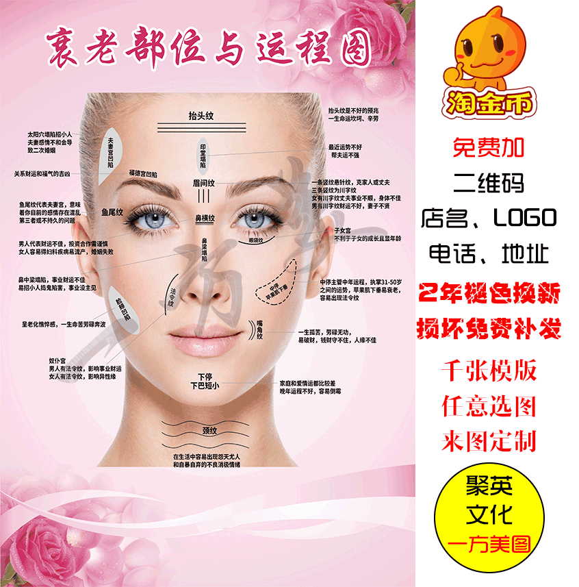 衰老部位与运程图 面部皱纹运程解释 微整形写真海报展板kt板宣传