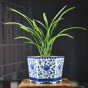 景德镇陶瓷器树盆手绘清青花瓷花盆新中式君子兰花专用盆钵老桩栽