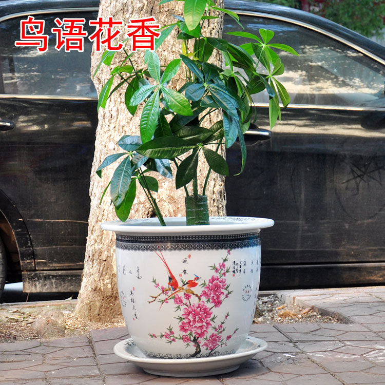 景德镇陶瓷器特大号新中式树盆花钵花盆铁树发财树室内粉彩花鸟兰,鲜花速递/花卉仿真/绿植园艺,花盆,淘宝优惠券,粉丝福利购,淘宝优惠卷