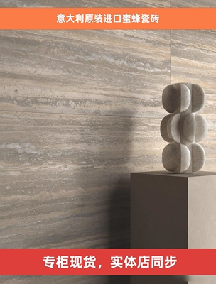 COCOON洞石系列IMOLA瓷砖意大利原装进口蜜蜂瓷砖 TRA SG6 120 RM