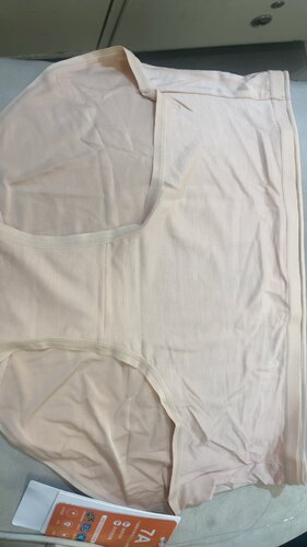 黛安芬5A抗菌舒适高腰柔软无痕透气棉质纯色内裤V227165 V227722.