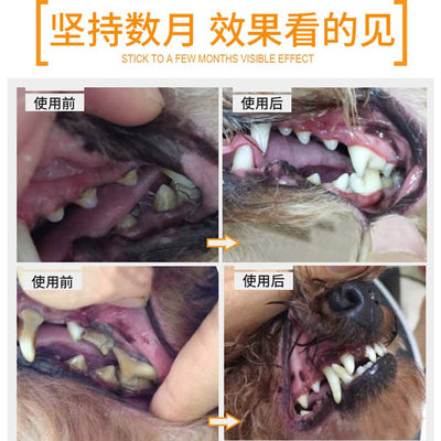 狗狗牙刷牙膏套装猫咪刷牙猫狗除口臭用品泰迪宠物牙齿洁牙可食用