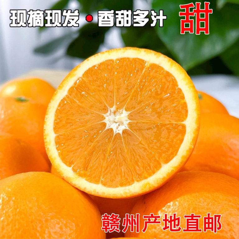 正宗江西赣南脐橙现摘现发橙子当季新鲜孕妇精品水果10斤产地直邮,水产肉类/新鲜蔬果/熟食,橙,淘宝优惠券,粉丝福利购,淘宝优惠卷