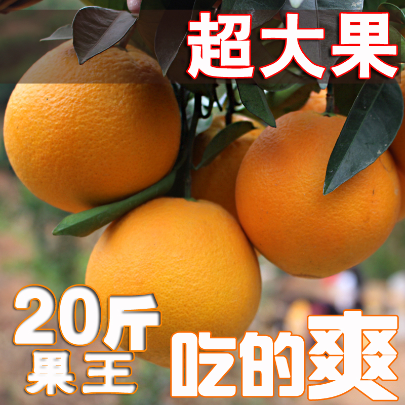 正宗江西赣南脐橙超值20斤大果王新鲜水果产地直供农产品大橙子