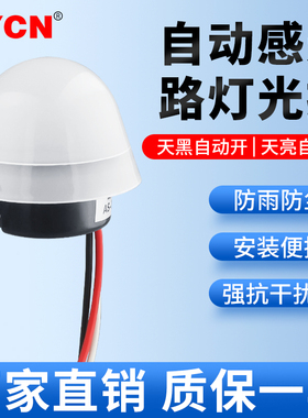 光控开关天黑自动亮AS-20灯控制感光器亮度感应220v光敏光感探头
