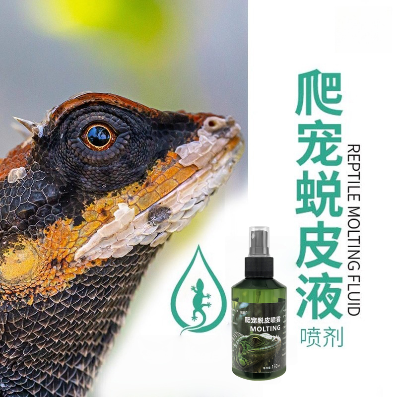 蜥蜴蜕皮爬虫蜕皮守宫睫角蜥蜴蜕皮营养素提亮体色加速蜕皮神器