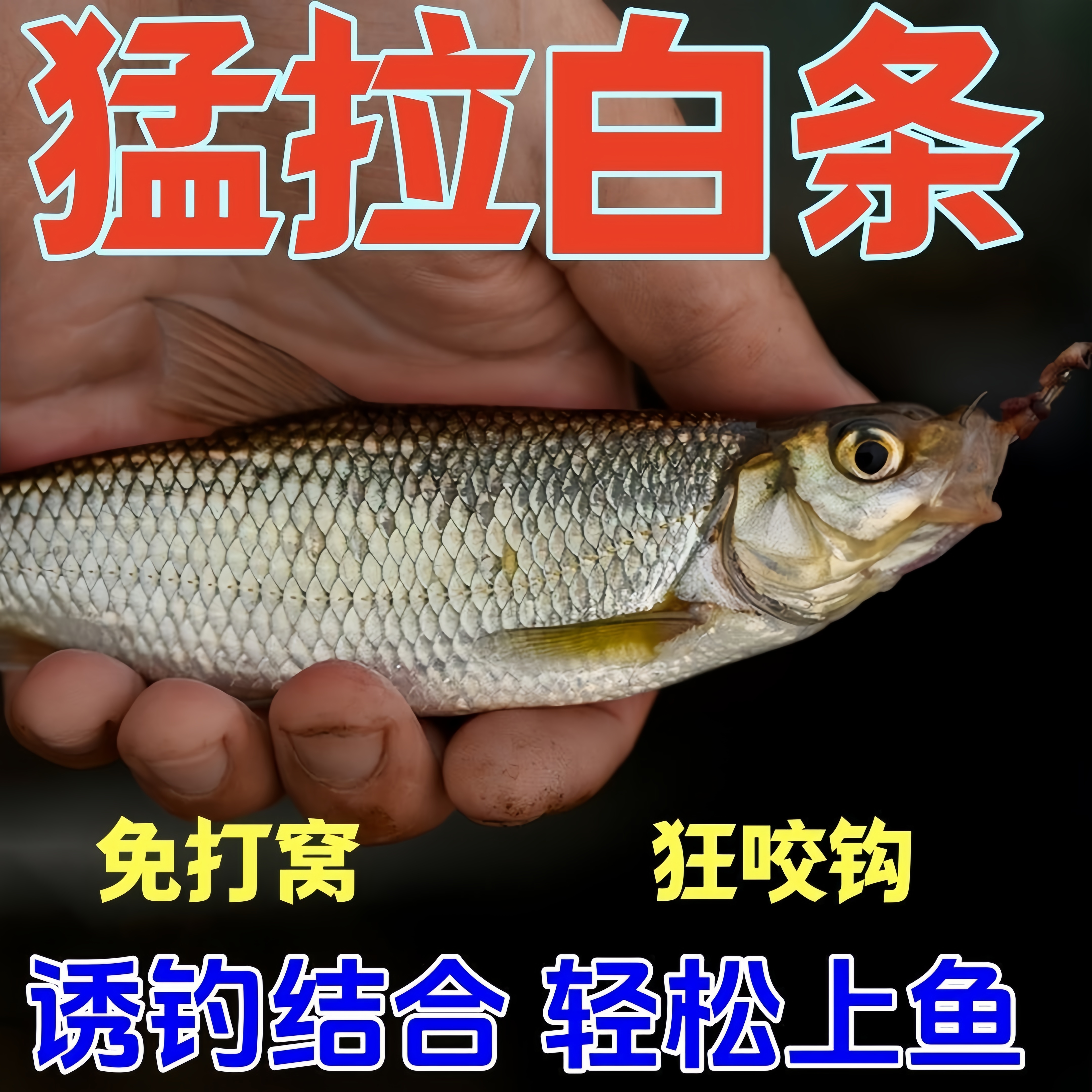 【白条神器】白条狂口野钓白条饵料腥香白条餐条鱼窝料专攻白条料