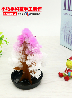 DIY结晶树圣诞纸树会发光的树科学实验小制作化学装饰儿童玩具