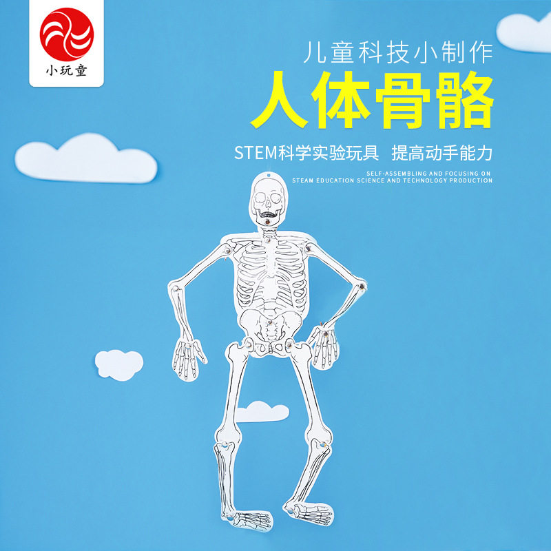 人体骨骼儿童科技手工diy小制作科学实验小发明益智拼插玩具礼物