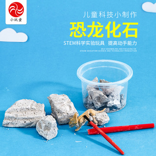 恐龙化石科学实验手工DIY科技制作益智科教玩具化石模型小顽童