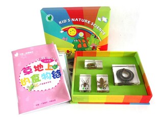 草地上的食物链标本幼儿园科学标本早教教具幼儿科普模型儿童玩具