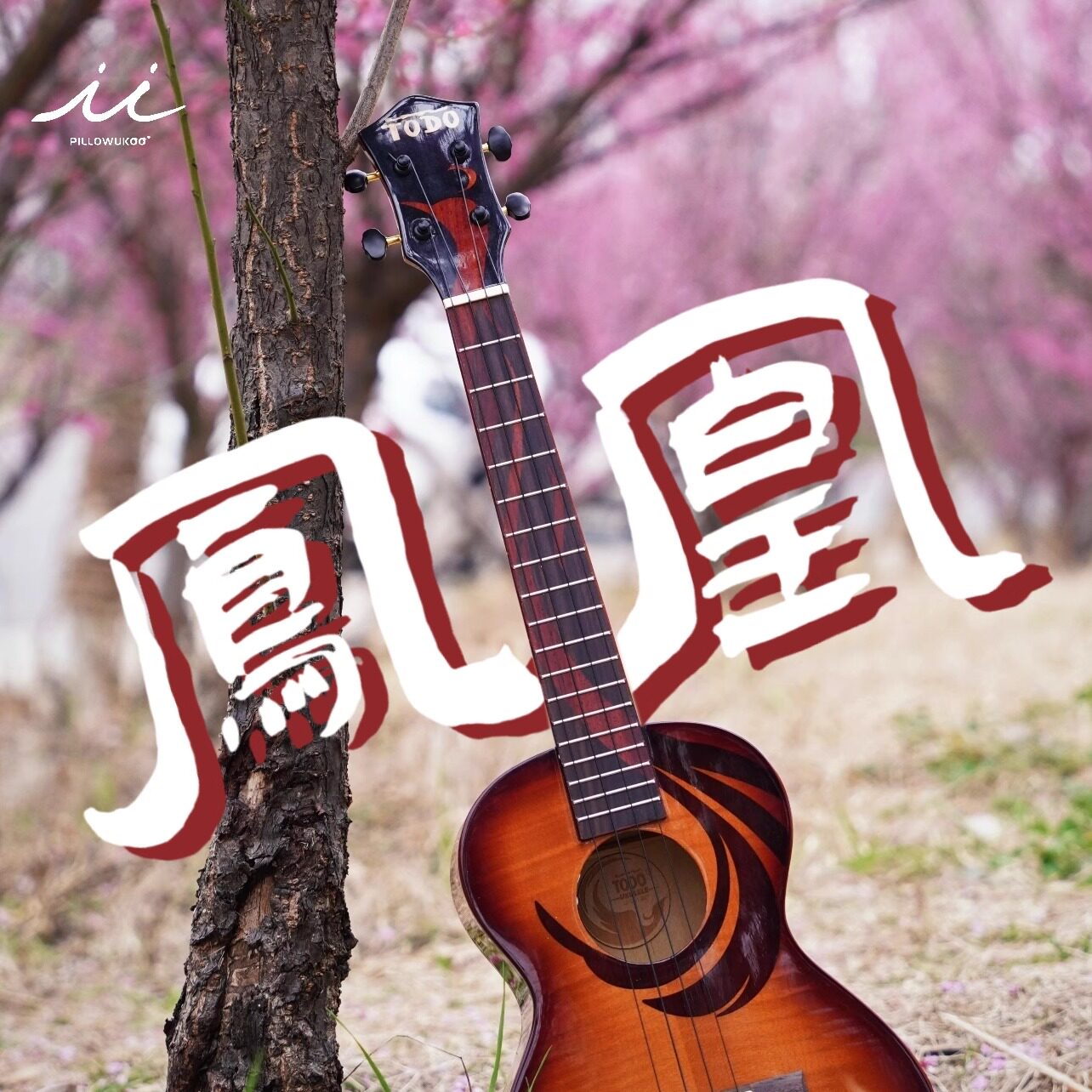TODO乐器尤克里里东方凤凰全虎纹枫木单板亮光23/26寸碳素弦