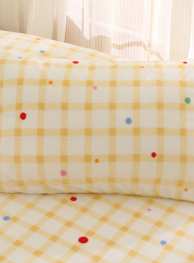 泡泡菠萝黄色可爱冬季加厚48cmx74cm枕套单个一对装枕头套牛奶绒