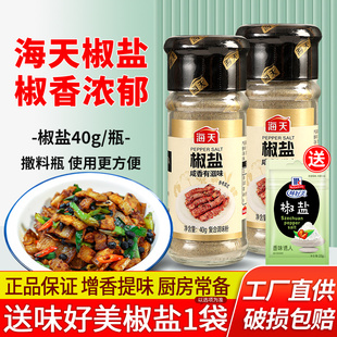海天椒盐粉40g 调料烤肉烧烤蘸料腌料香骨鸡排骨调味料撒料 2瓶装