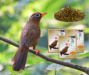 新鸟家族画眉相思鸟白头翁鸟食鸟饲料满足换羽鸟食买5包包邮