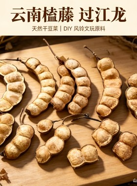 云南榼藤过江龙平安豆荚娃娃原料