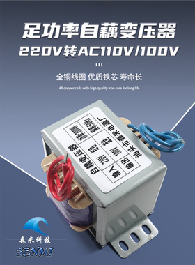 变压器AC220V转AC110V100V自耦110V转220VAC 电压 转换器定制新品