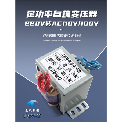变压器AC220V转AC110V100V自耦110V转220VAC 电压 转换器定制新品