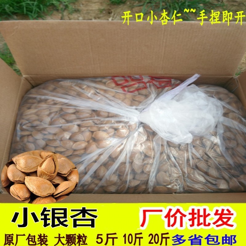 小银杏开口手剥新疆坚果500g散装5斤袋装杏仁零食小白杏整箱10斤
