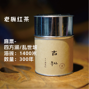 古枞 古老森林的味道 老枞红茶  2024春
