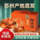 活蟹现货苏州阳澄蟹礼精品大闸蟹鲜活螃蟹全母3.0两旗舰礼盒装