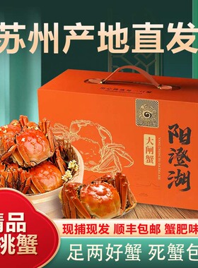 活蟹现货苏州阳澄蟹礼精品大闸蟹鲜活螃蟹全母3.0两旗舰礼盒装