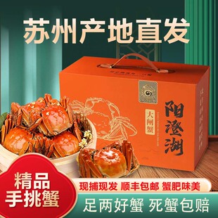 活蟹现货苏州阳澄蟹礼精品大闸蟹鲜活螃蟹全母3.0两旗舰礼盒装