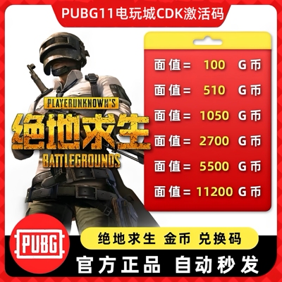 PUBGG币绝地求生G币G-COIN官方游戏币充值吃鸡g币兑换码CDK秒发货