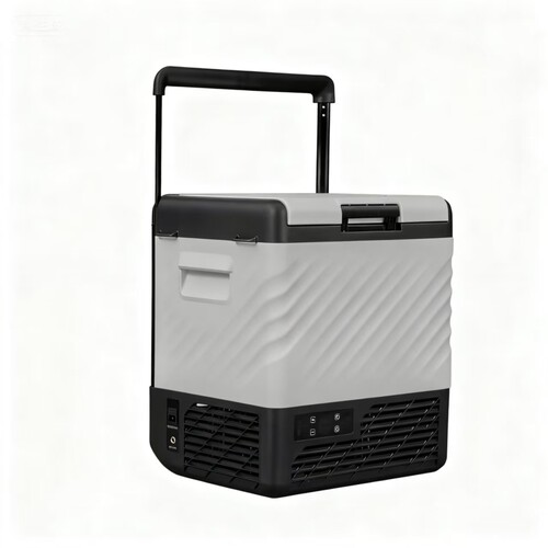 冰虎压缩机冷冻车载冰箱12V24V220V110V台湾通用小冰箱轮子拉杆