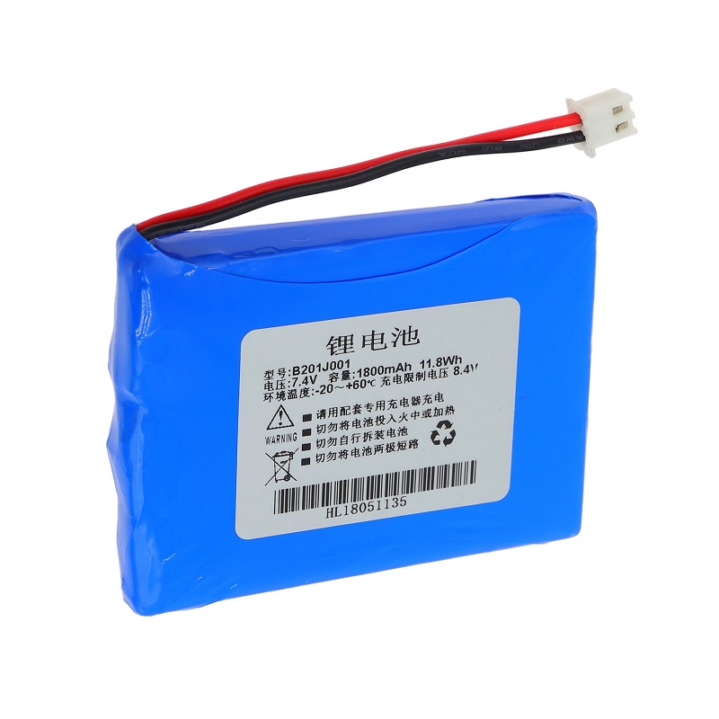 场强仪DS2100DS2100A电池