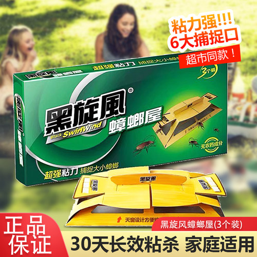 黑旋风蟑螂药蟑螂屋3个装