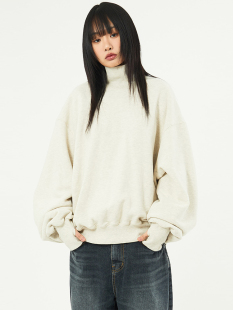 Warmer over fleece neck sweatshirt卫衣 turtle 韩代Raucohouse