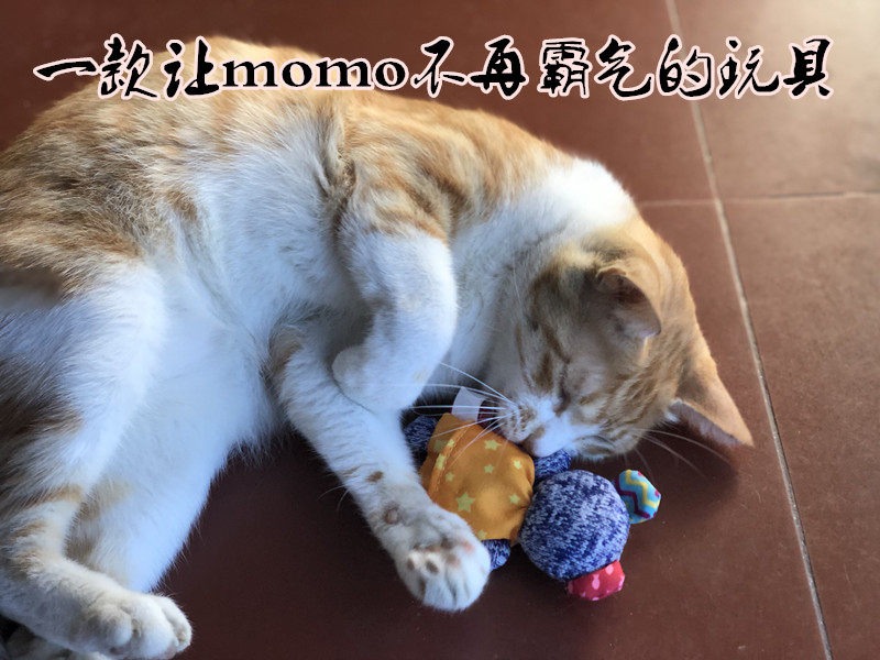 Silly cat house Kitty Toys Add Catnip Straw bag lovely Cloth bag Cat Toys Funny cat toysin the Pet/Pet food and supplies , Cat/Dog Toys , Sound toys  category - from Buy2taobao.com to provide professional Taobao agent buy service