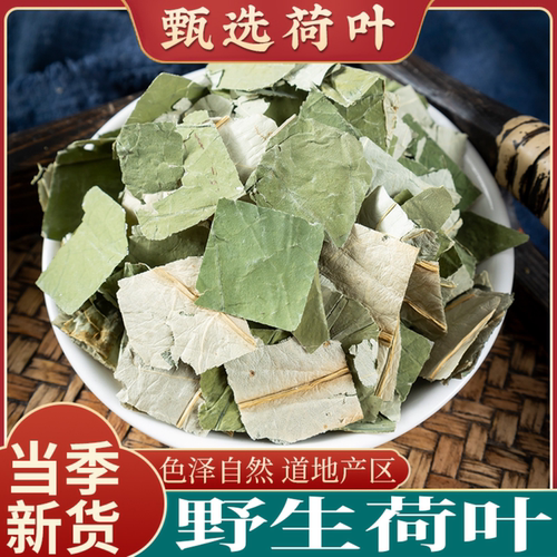 【10A精选】微山湖荷叶粒茶清香解腻草本冲泡荷叶片泡水喝养生茶
