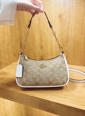 腋下小包包女轻奢小众高级感2025夏新款老花月牙包单肩斜挎hobo包