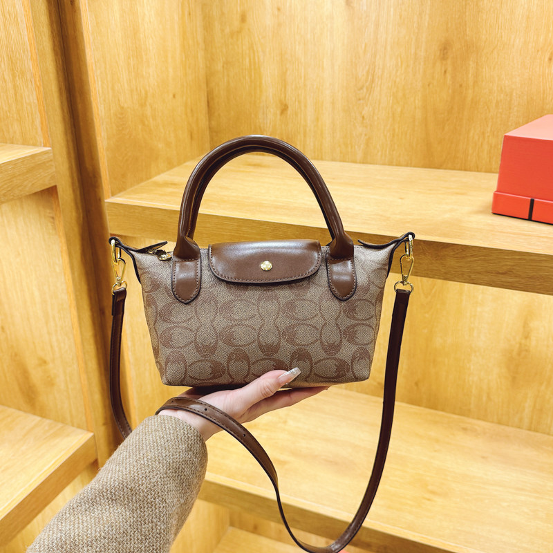 斜挎饺子包女2025新款高级感印花手提包小拎包小众百搭单肩小包包